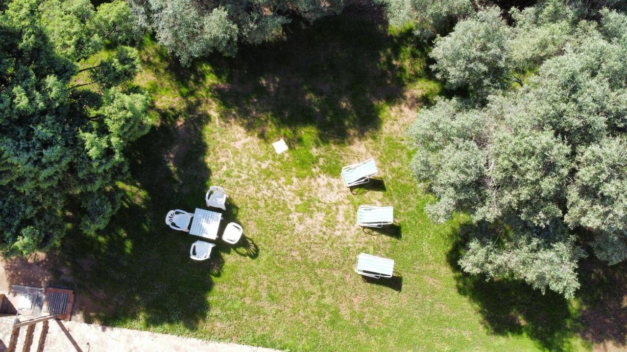 Samurtabianca 1 * Pula