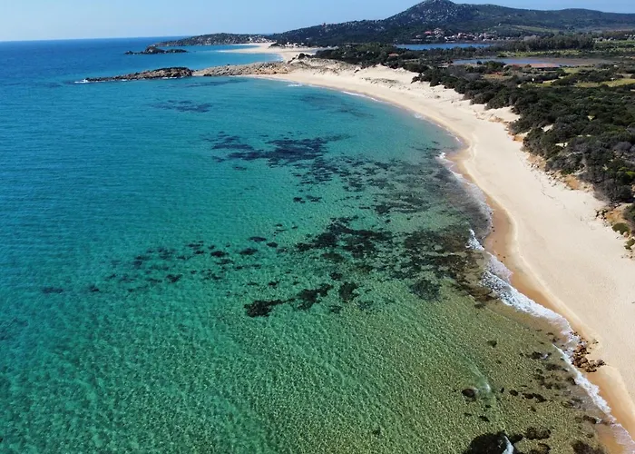 Samurtabianca 1